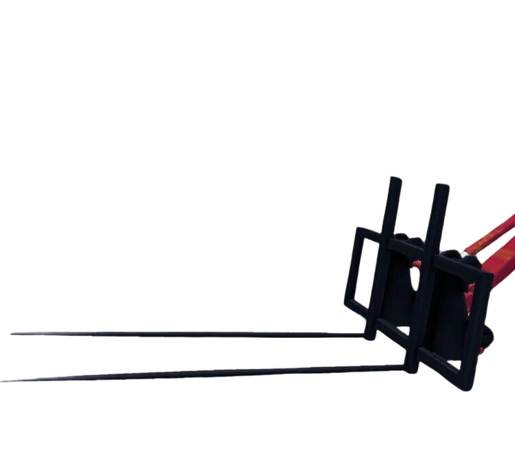 foto frontal sanchqilik payshaxa