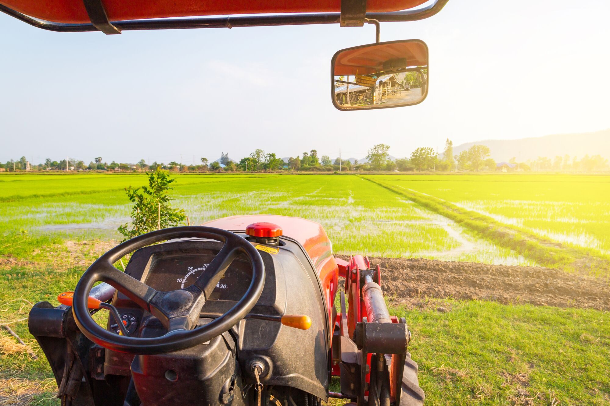 red-tractor-agricultural-field-sunny-summer-day (1)